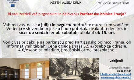 Zgodovina in delovanje Partizanske bolnice Franja